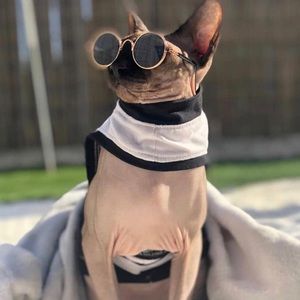 Pet Sunglasses